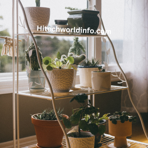 Best Plant Stands for Indoors