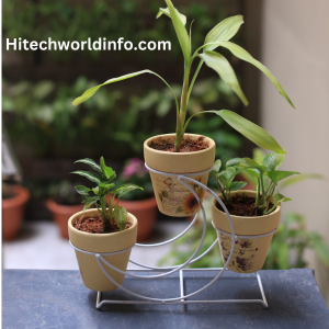 Best Plant Stands for Indoors